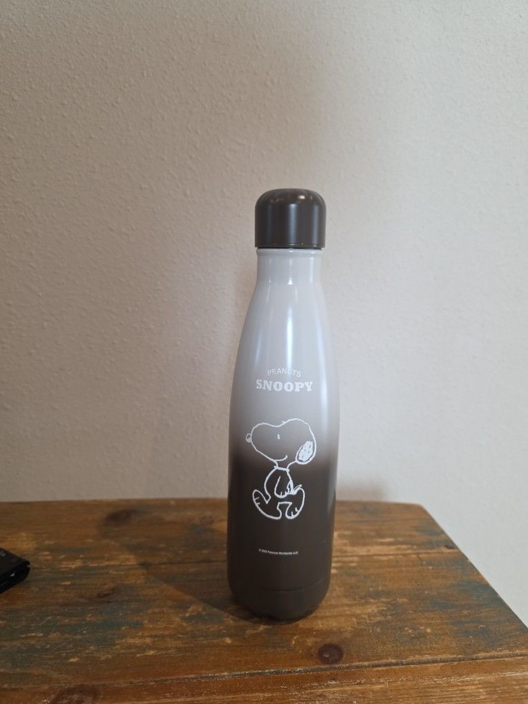 Snoopy Insulated Cup