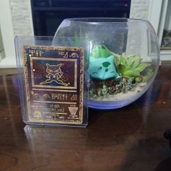 VINTAGE & MID ERA Pokémon Cards for SALE