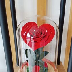 preserved heart flowers".
