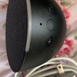 Echo Dot 