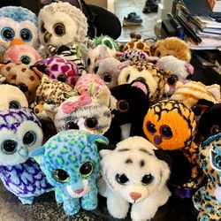Beanie Boo Collection 