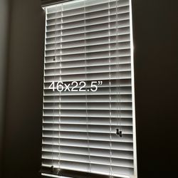 Blinds For Sale, Sizes Are In Photos, $60 Each