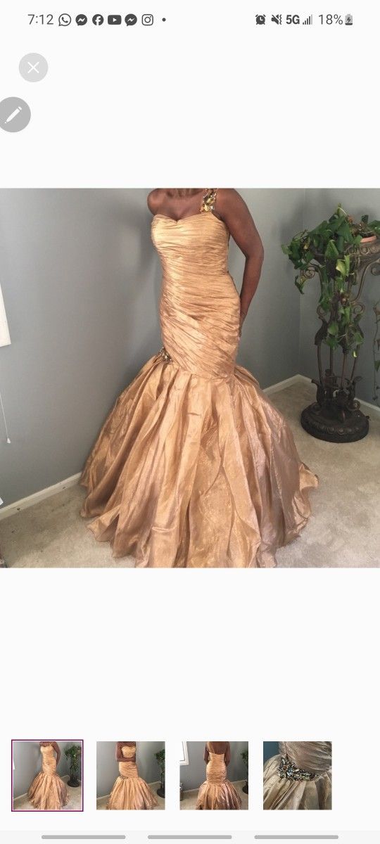 Georgous Event Gown By MacDougal