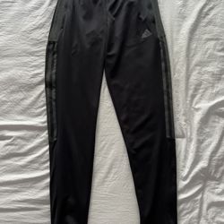 Adidas Pants (size S)
