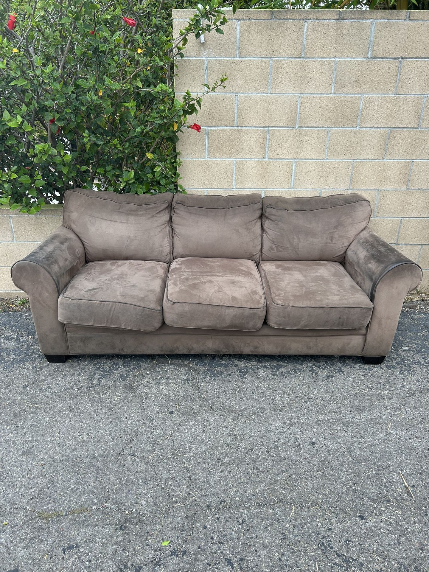 Free Couch