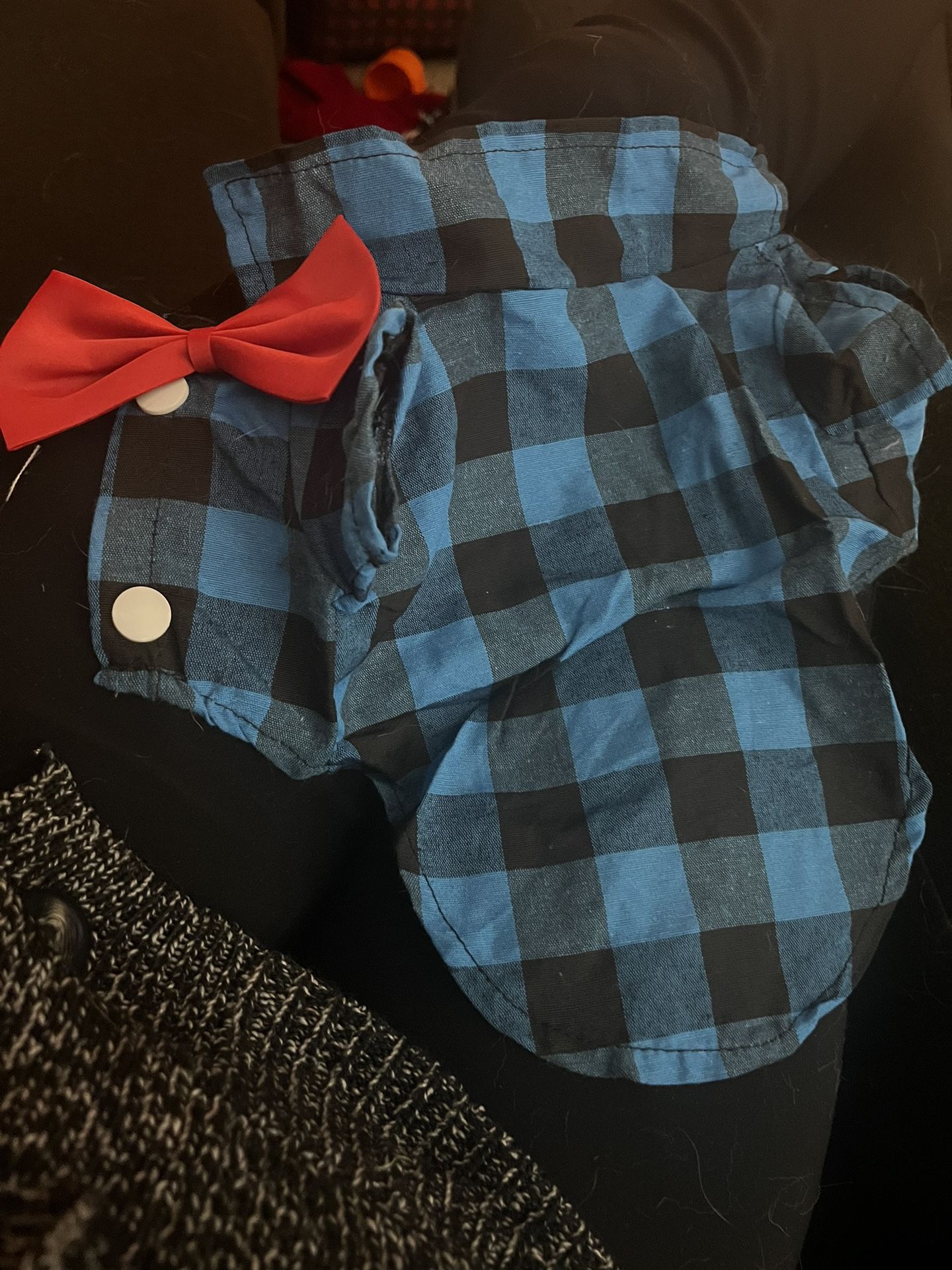 Pet Outfit