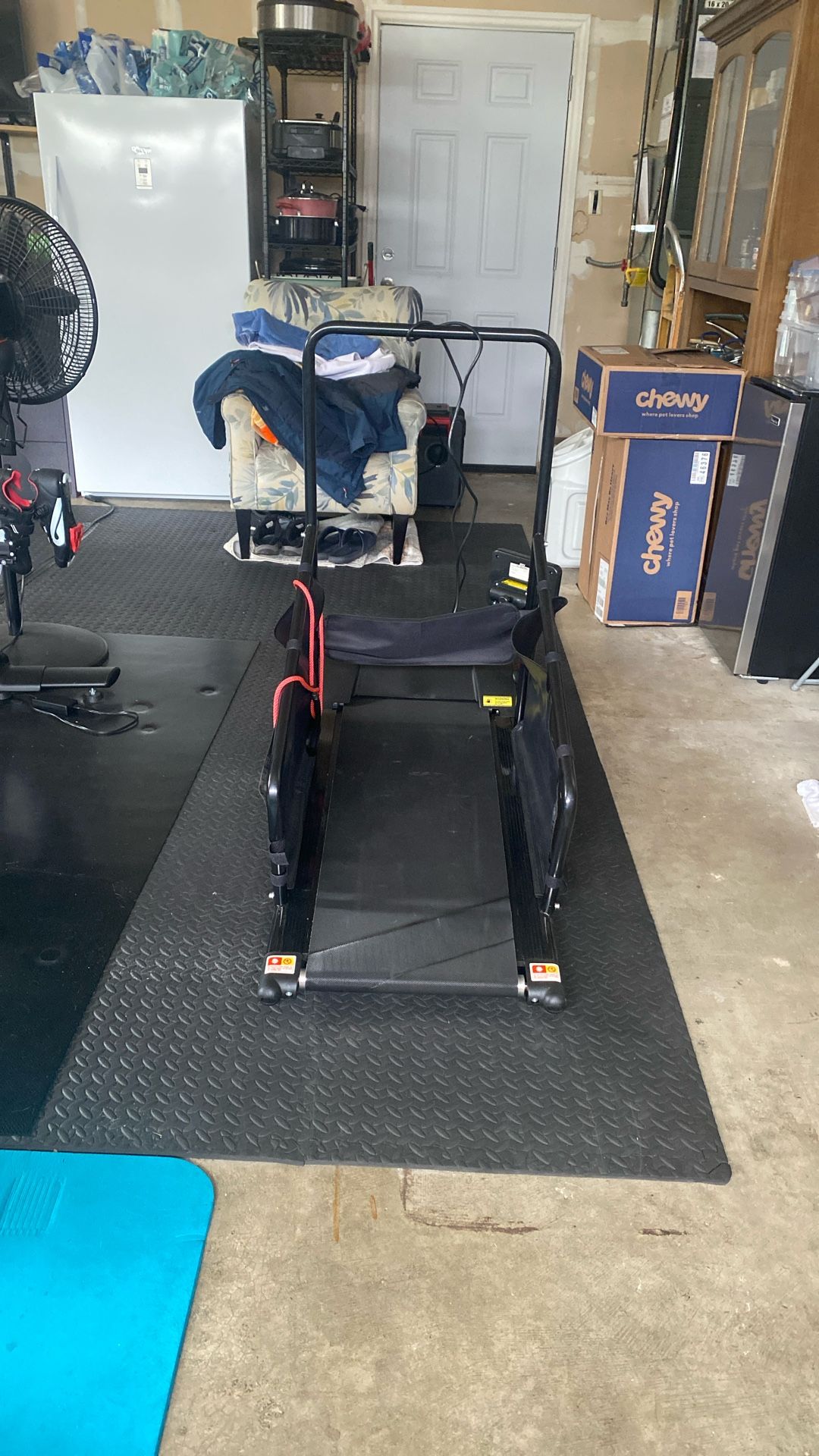 Treadmill For Dogs