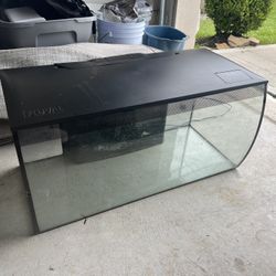 Bowfront Fish Tank