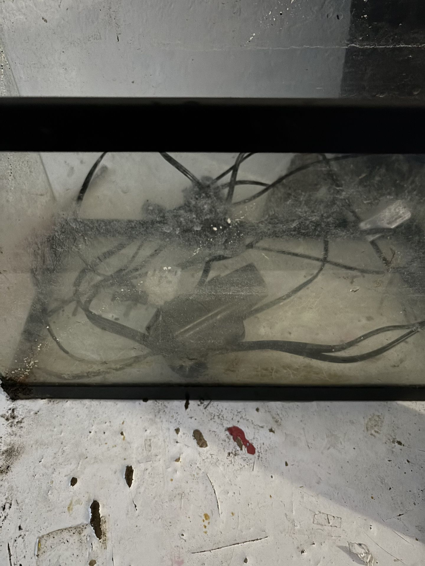 20 Gallon High Terrarium No Lights No Substrate Knowledge Chest To Tank Does Not Hold Water
