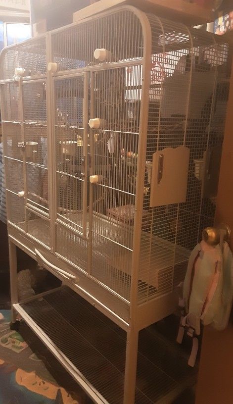 Double Bird Cage