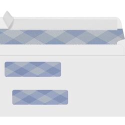 Pandri #8 Security Envelopes 500count