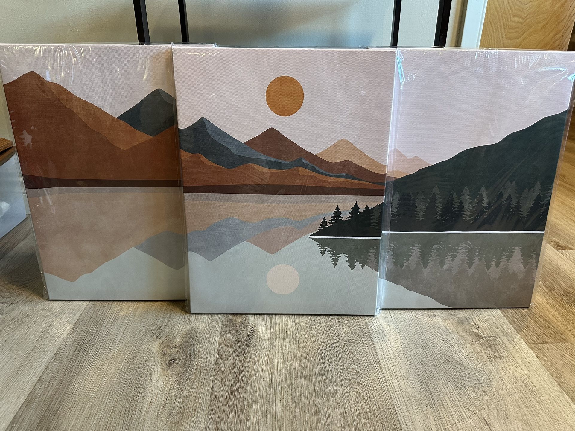Wall Art / paintings 3pcs