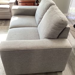 Loveseat With Free Couch