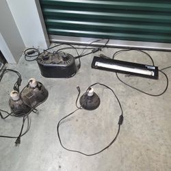 Reptile Lamps And Accessories 