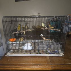 use bird cage