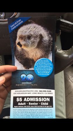 Best offer !!