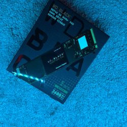 SSD NVME 1 TB “Western Digital”