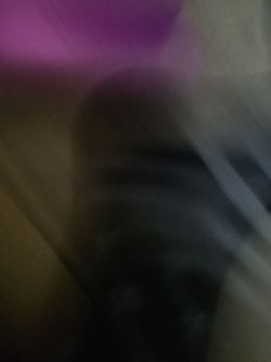 Laurenza