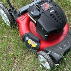 Lawn Edger – Build Crisp and Organized Yard Boundaries mean sister