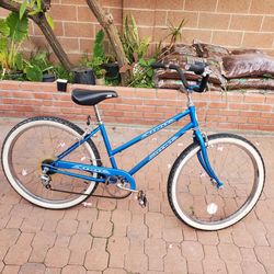 Schwinn 5 speed cruiser