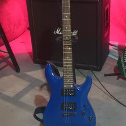 SGR Schecter 