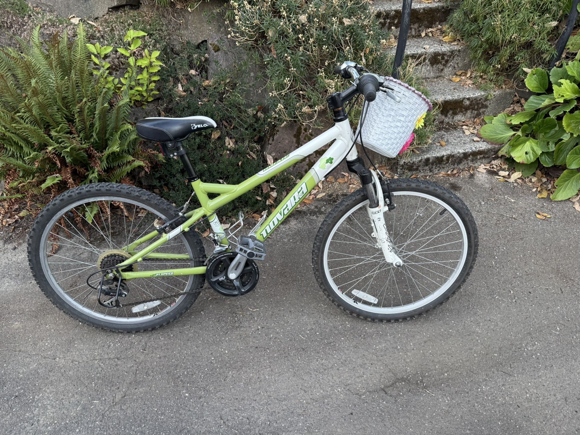 Bike - Novara Moxi 24”
