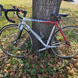 Bianchi Vigorelli Bike