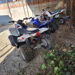 Quad Raptor 660 . Raptor 80. Polaris 200