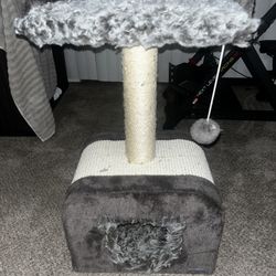 2 Cat Trees One Large One Small / Cat Carrier