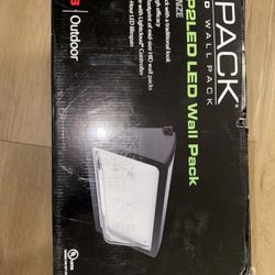 RAB Lighting WP2LED49L WP2LED LED Wall Pack