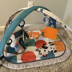 Baby Play Gym