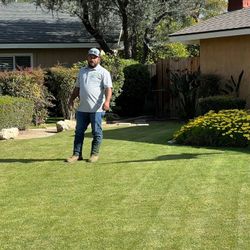 Trabajo De Jardinería 