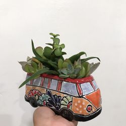 Succulent Planter 