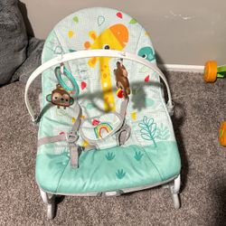 Infant to Toddler Rocker