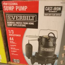 Everbilt HDS30 1/3 HP. 44  Cast Iron Submersible Sump Pump - Black