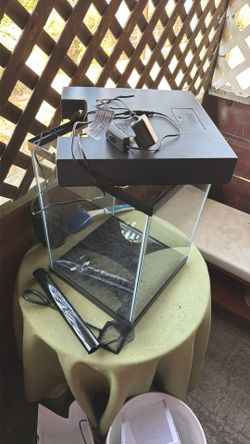 10 g fish tank