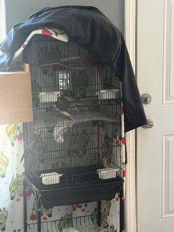 Bird cage