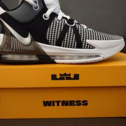 Nike Lebron Witness VII 