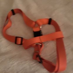 For Bigger Dog 