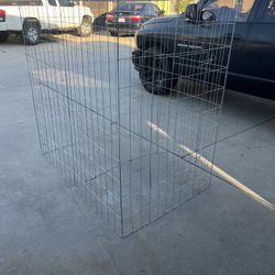 Rooster Bird  Cage 