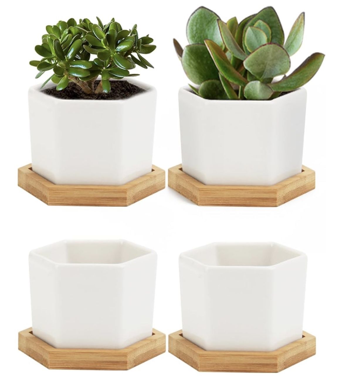Succulent 4" Pots With Bamboo Tray's, 4 Pack Ceramic Plant Pots NEW, Plants Not