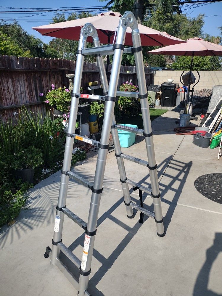 Telescopic Ladder