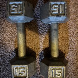 15 Pound Dumbbells X2 Set 