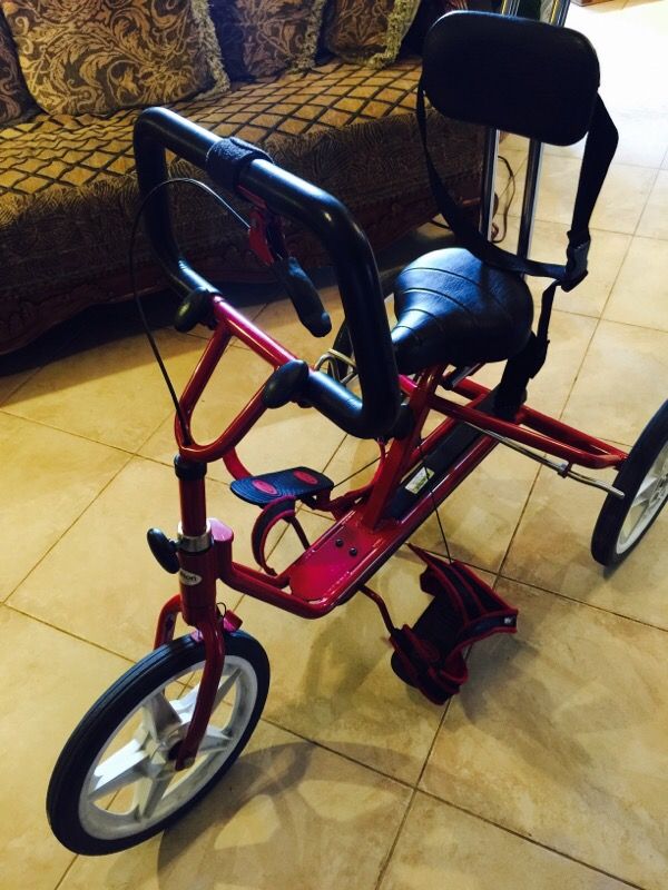 Special needs tricycle