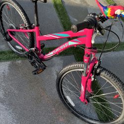 Specialized Hard Tail Hot Rock Bike Kids