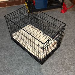 Dog Kennel 