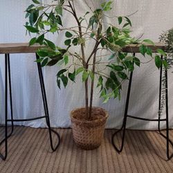 Super Cute Greyish Brown Stool Set For SALE 2X 