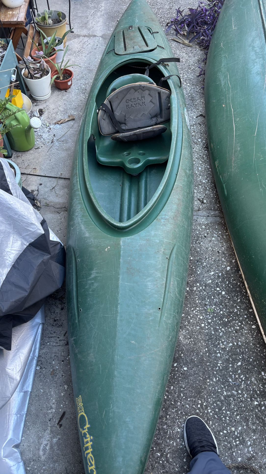 Wilderness Systems Big Critter Kayak