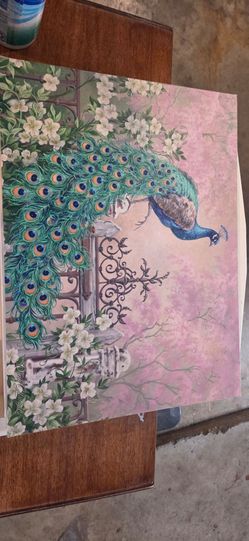 Peacock Floral Art Print cabinet/shelf