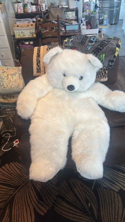 Huge white polar bear